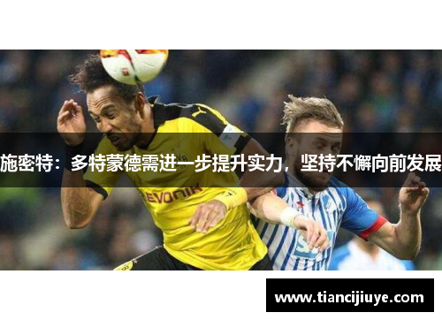 施密特：多特蒙德需进一步提升实力，坚持不懈向前发展