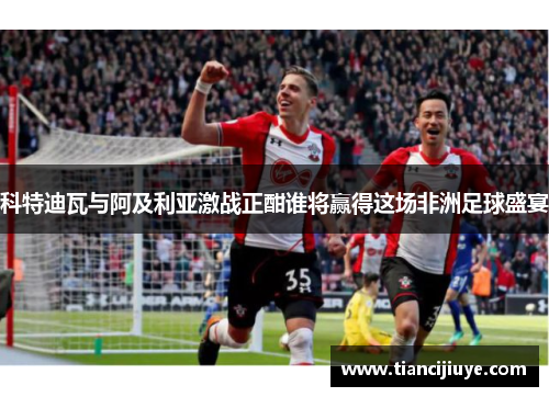 科特迪瓦与阿及利亚激战正酣谁将赢得这场非洲足球盛宴